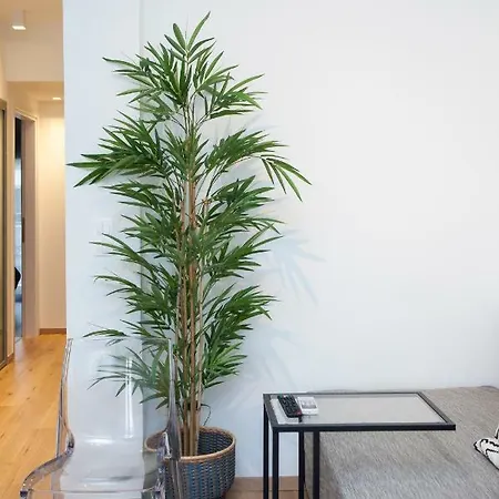 Alterra Apartamento